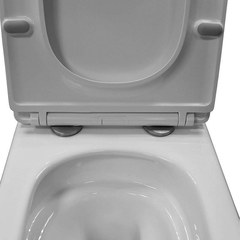 Унитаз подвесной AZARIO Armonia AZ-2403 безободковый, с микролифтом, глянцевый белый