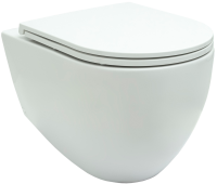 Унитаз подвесной Allen Brau Reality 4.32006.20 белый