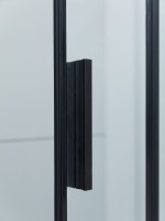 Душевой уголок Aquanet Pleasure Evo AE65-N120-BT 120х100, профиль матовый черный, стекло прозрачное