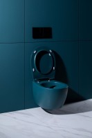 Унитаз подвесной Allen Brau Fantasy 4.11004.PT безободковый, с микролифтом, петроль