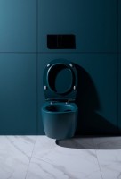 Унитаз подвесной Allen Brau Fantasy 4.11004.PT безободковый, с микролифтом, петроль