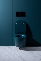 Унитаз подвесной Allen Brau Fantasy 4.11004.PT безободковый, с микролифтом, петроль