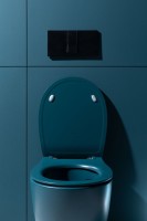 Унитаз подвесной Allen Brau Fantasy 4.11004.PT безободковый, с микролифтом, петроль