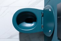 Унитаз подвесной Allen Brau Fantasy 4.11004.PT безободковый, с микролифтом, петроль