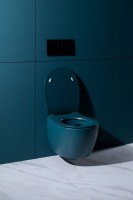 Унитаз подвесной Allen Brau Fantasy 4.11004.PT безободковый, с микролифтом, петроль