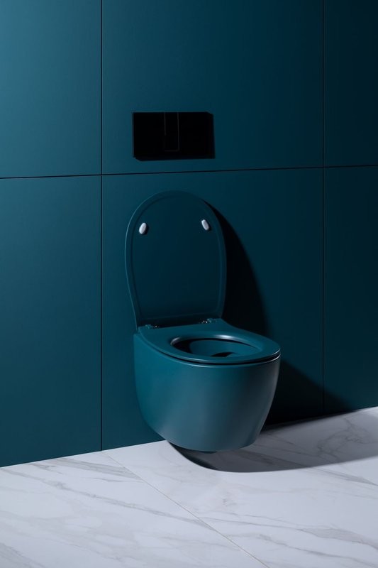 Унитаз подвесной Allen Brau Fantasy 4.11004.PT безободковый, с микролифтом, петроль