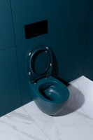 Унитаз подвесной Allen Brau Fantasy 4.11004.PT безободковый, с микролифтом, петроль