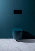 Унитаз подвесной Allen Brau Fantasy 4.11004.PT безободковый, с микролифтом, петроль