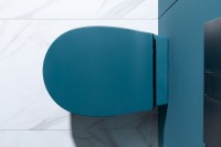 Унитаз подвесной Allen Brau Fantasy 4.11004.PT безободковый, с микролифтом, петроль