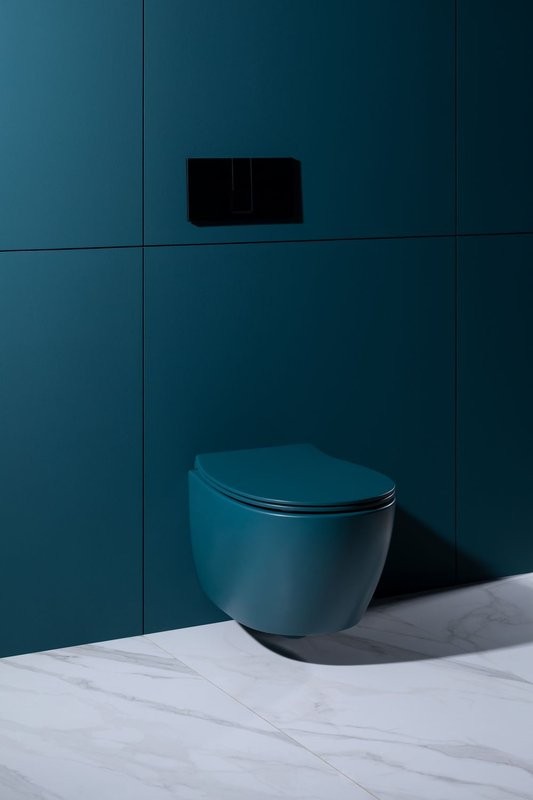 Унитаз подвесной Allen Brau Fantasy 4.11004.PT безободковый, с микролифтом, петроль