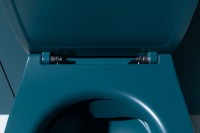 Унитаз подвесной Allen Brau Fantasy 4.11004.PT безободковый, с микролифтом, петроль