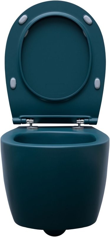 Унитаз подвесной Allen Brau Fantasy 4.11004.PT безободковый, с микролифтом, петроль