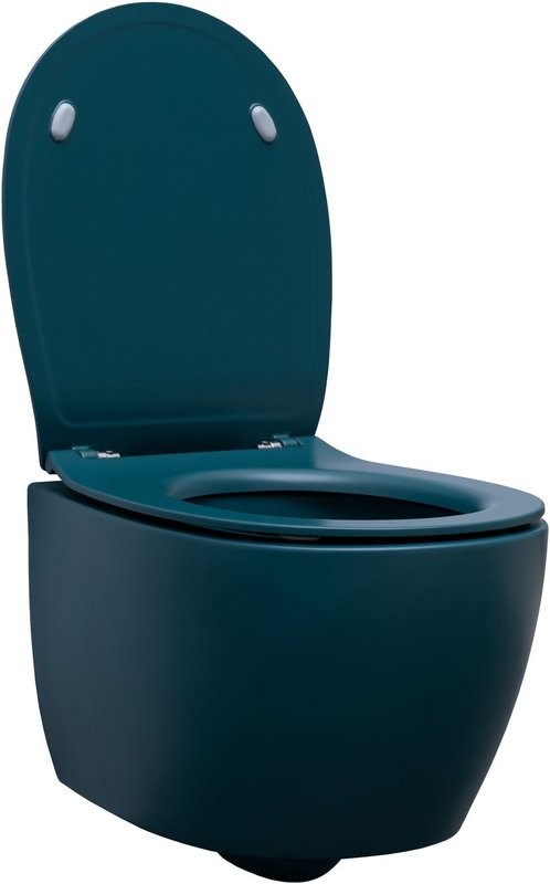 Унитаз подвесной Allen Brau Fantasy 4.11004.PT безободковый, с микролифтом, петроль