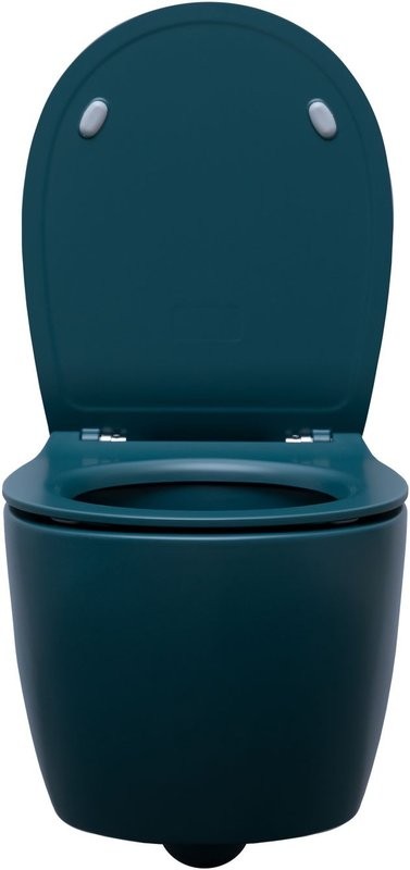 Унитаз подвесной Allen Brau Fantasy 4.11004.PT безободковый, с микролифтом, петроль