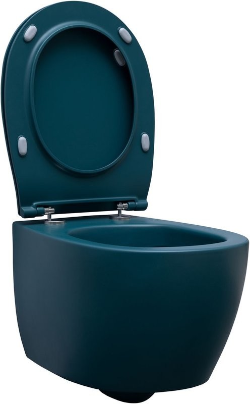 Унитаз подвесной Allen Brau Fantasy 4.11004.PT безободковый, с микролифтом, петроль