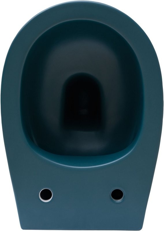 Унитаз подвесной Allen Brau Fantasy 4.11004.PT безободковый, с микролифтом, петроль