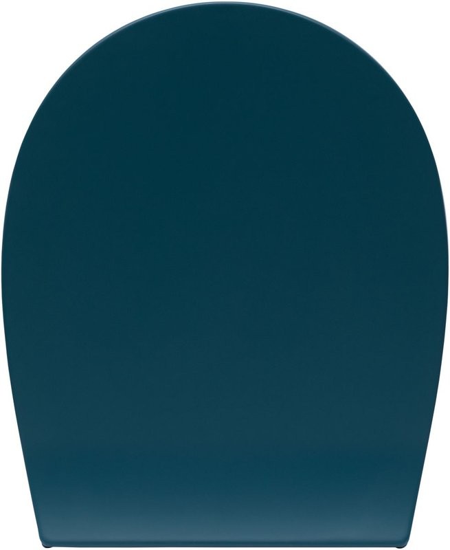 Унитаз подвесной Allen Brau Fantasy 4.11004.PT безободковый, с микролифтом, петроль