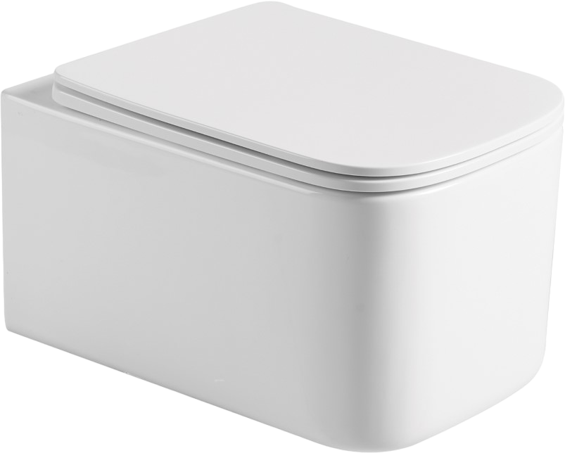 Унитаз подвесной Boheme Mane 970-SET-MW с крышкой-сиденьем с микролифтом