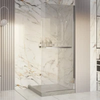 Душевая перегородка Ambassador Walk-in 15031136 90x200 см, профиль хром