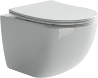 Комплект Унитаз подвесной Ceramicanova Forma CN3009 безободковый, с микролифтом + Инсталляция Envision CN1002M + Кнопка Flat, матовый хром