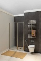Душевая дверь в нишу Allen Brau Priority 3.31005.BA 100