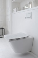 Унитаз подвесной Jacob Delafon Grands Boulevards EDW102-00 с микролифтом