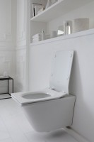 Унитаз подвесной Jacob Delafon Grands Boulevards EDW102-00 с микролифтом