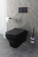Унитаз подвесной Allen Brau Infinity 4.21011.31 безободковый, с микролифтом, черный матовый