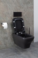 Унитаз подвесной Allen Brau Infinity 4.21011.31 безободковый, с микролифтом, черный матовый