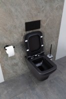 Унитаз подвесной Allen Brau Infinity 4.21011.31 безободковый, с микролифтом, черный матовый