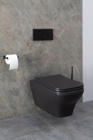 Унитаз подвесной Allen Brau Infinity 4.21011.31 безободковый, с микролифтом, черный матовый