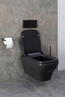 Унитаз подвесной Allen Brau Infinity 4.21011.31 безободковый, с микролифтом, черный матовый