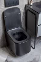 Унитаз подвесной Boheme Mane 970-SET-B с крышкой-сиденьем с микролифтом