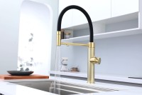 Смеситель для кухни Paulmark Ganymede Diamond Gd613199-LG с гибким изливом, светлое золото