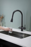 Смеситель для кухни Paulmark Lange 214212-418, черный металлик