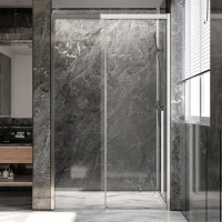 Дверь для душевого уголка Veconi Premium Trento PTD-30CH 150 см, профиль хром, стекло прозрачное
