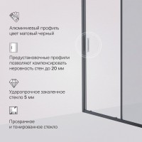 Душевая дверь в нишу AM.PM Gem Solo W90G-150-1-195BG 150 см