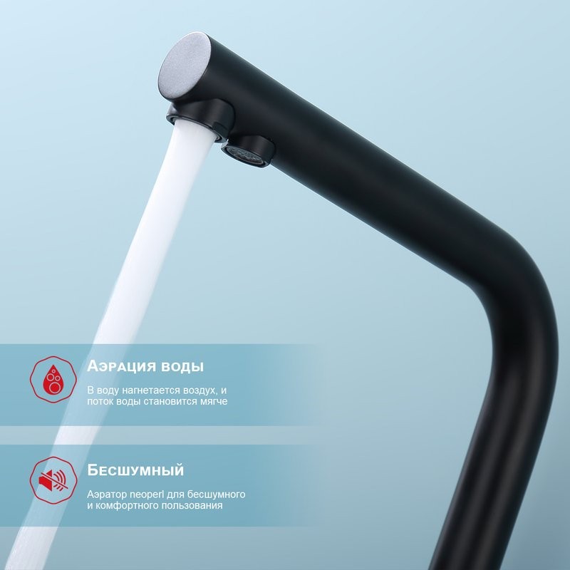 Смеситель для кухни с подключением фильтра Raglo R81.61.06, черный