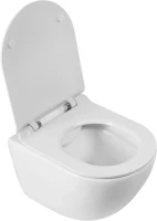 Унитаз подвесной BelBagno Amanda BB051CHR безободковый, крышка BB901SC с микролифтом