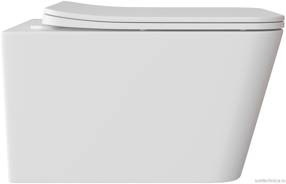Унитаз подвесной Aqueduto Macio MAC0120 безободковый, с микролифтом, белый матовый + Ершик Ridder Gaudy Gaudy 2231402 розовый