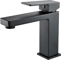 Смеситель для раковины Shevanik S9601H черный