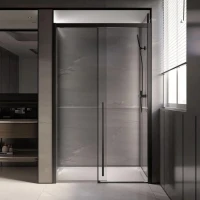 Дверь для душевого уголка Veconi Premium Trento PTD-30B 120 см, профиль черный матовый, стекло прозрачное