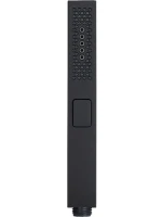Душевая лейка Allen Brau Infinity 5.21A22-31 черная матовая