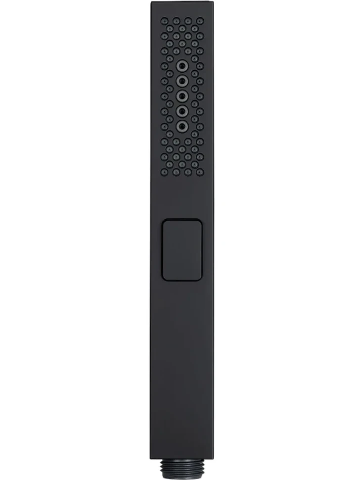 Душевая лейка Allen Brau Infinity 5.21A22-31 черная матовая
