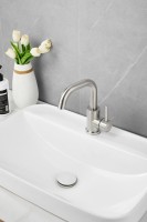 Смеситель для раковины BELZ B809 B10809-1 сатин Смеситель для раковины BELZ B809 B10809-1 сатин