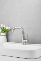 Смеситель для раковины BELZ B809 B10809-1 сатин Смеситель для раковины BELZ B809 B10809-1 сатин