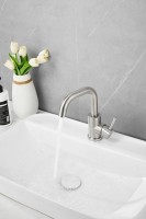 Смеситель для раковины BELZ B809 B10809-1 сатин Смеситель для раковины BELZ B809 B10809-1 сатин