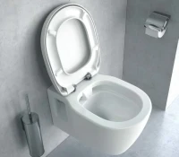 Унитаз подвесной Ideal Standard Connect E814901 Унитаз подвесной Ideal Standard Connect E814901
