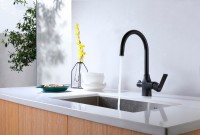 Смеситель для кухни Lemark Ursus LM7261BL