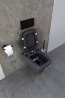 Унитаз подвесной Allen Brau Infinity 4.21011.AN безободковый, с микролифтом, антрацит